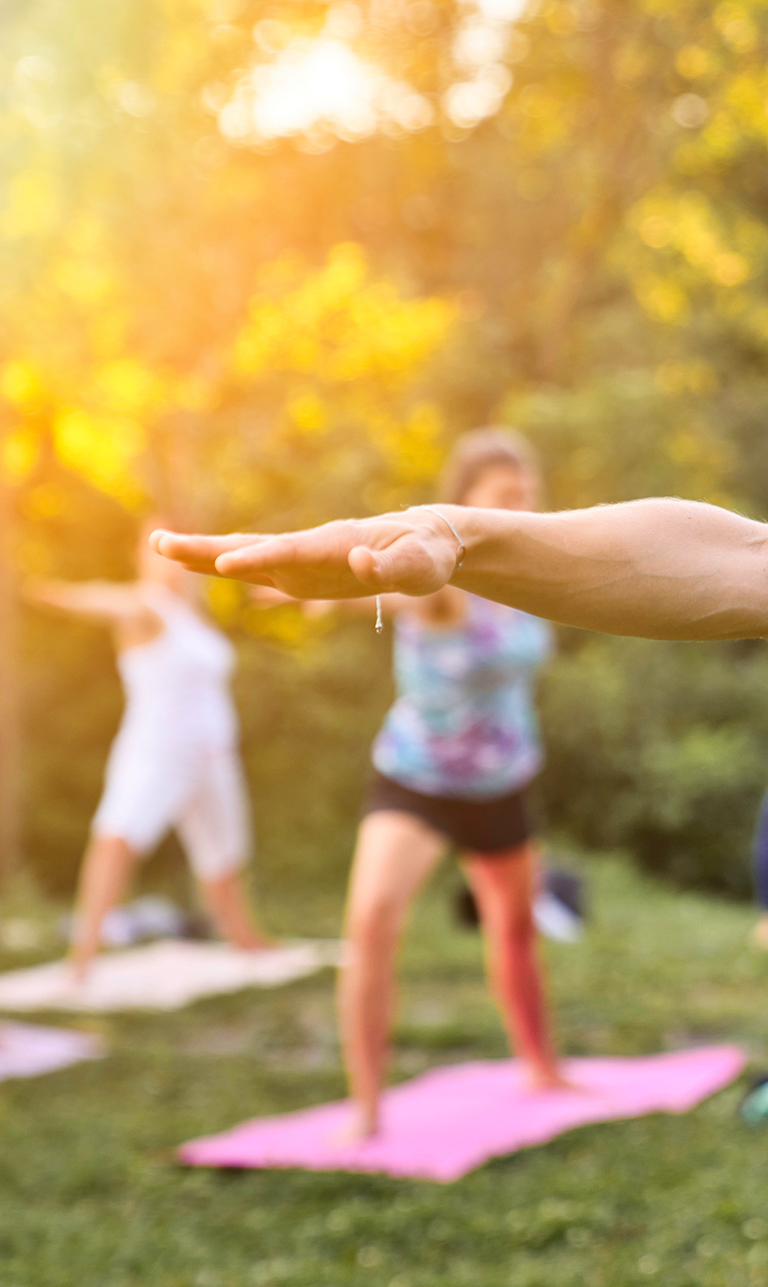 The Wellness Tribe Hub